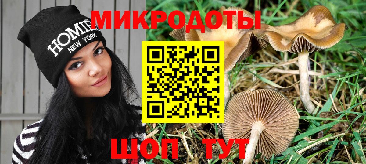 Галлюциногенные грибы Psilocybe  Вход с VPN  Сарапул 
