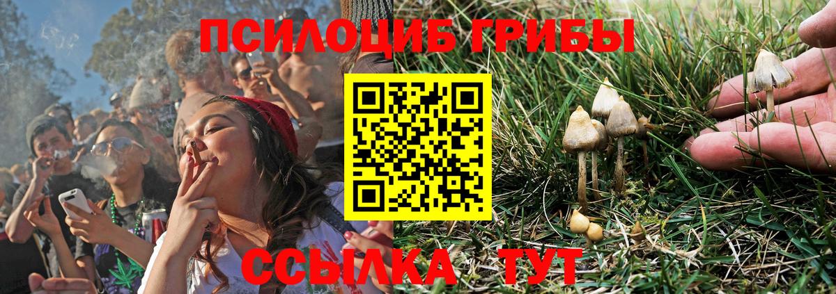 Галлюциногенные грибы GOLDEN TEACHER Сарапул
